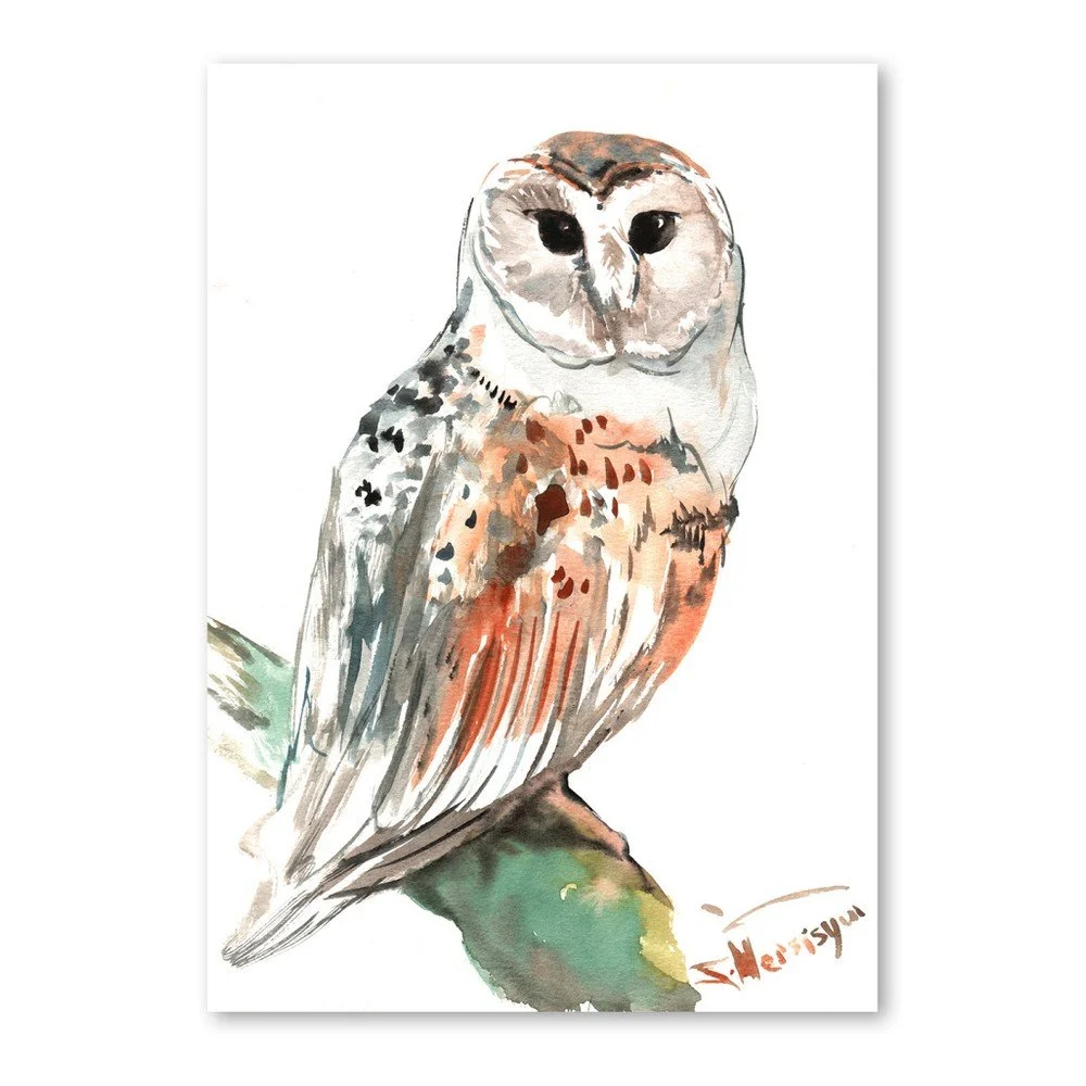 Autorský plakát Owl od Surena Nersisyana, 42 x 30 cm v:758426