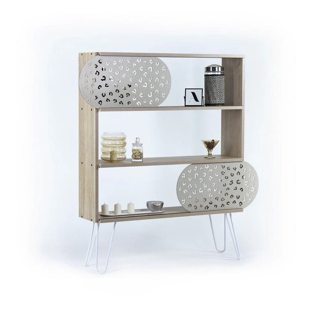 Knihovna Illia Ashley v:1295240