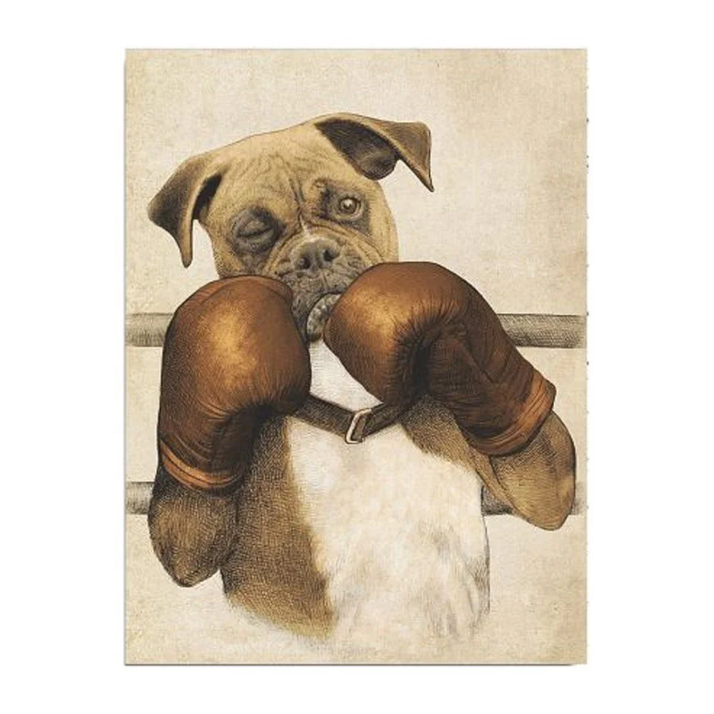 Nástěnný obraz na plátně Boxer, 30 x 40 cm v:1285838