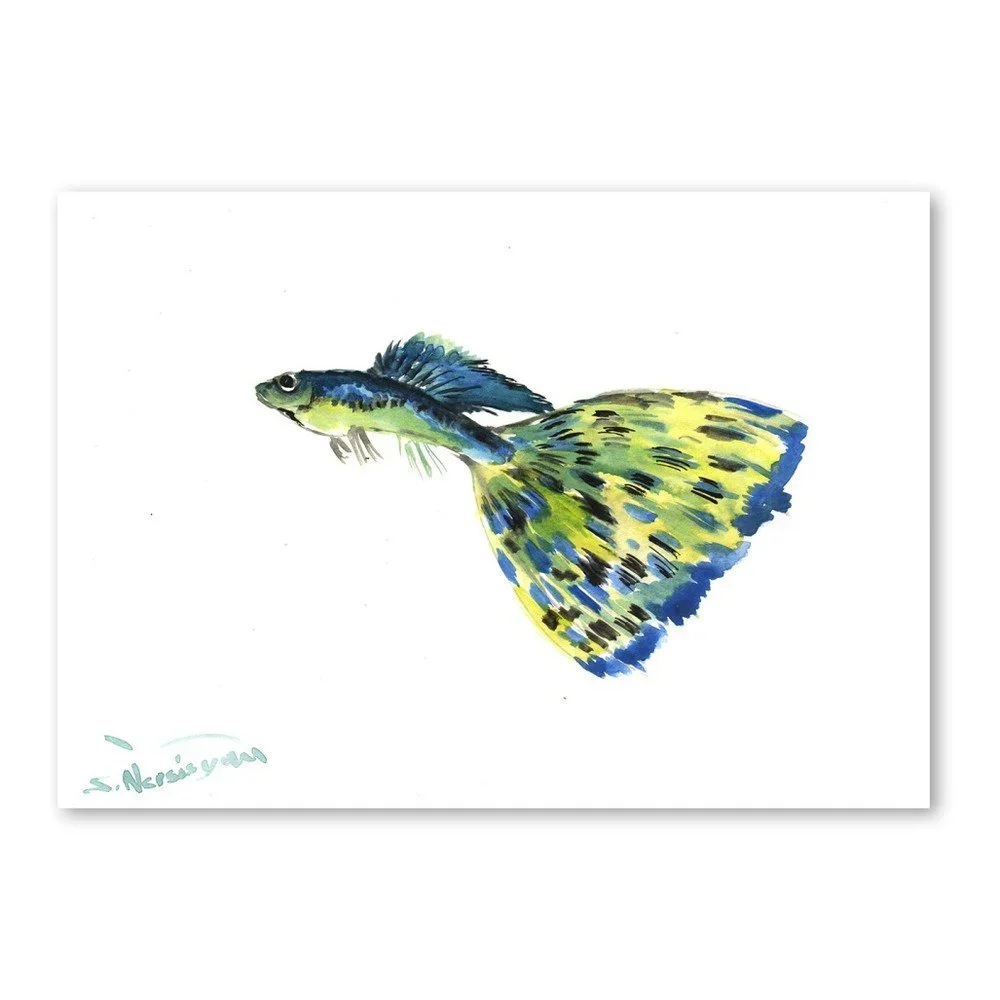 Autorský plakát Guppy od Surena Nersisyana, 42 x 30 cm v:758462