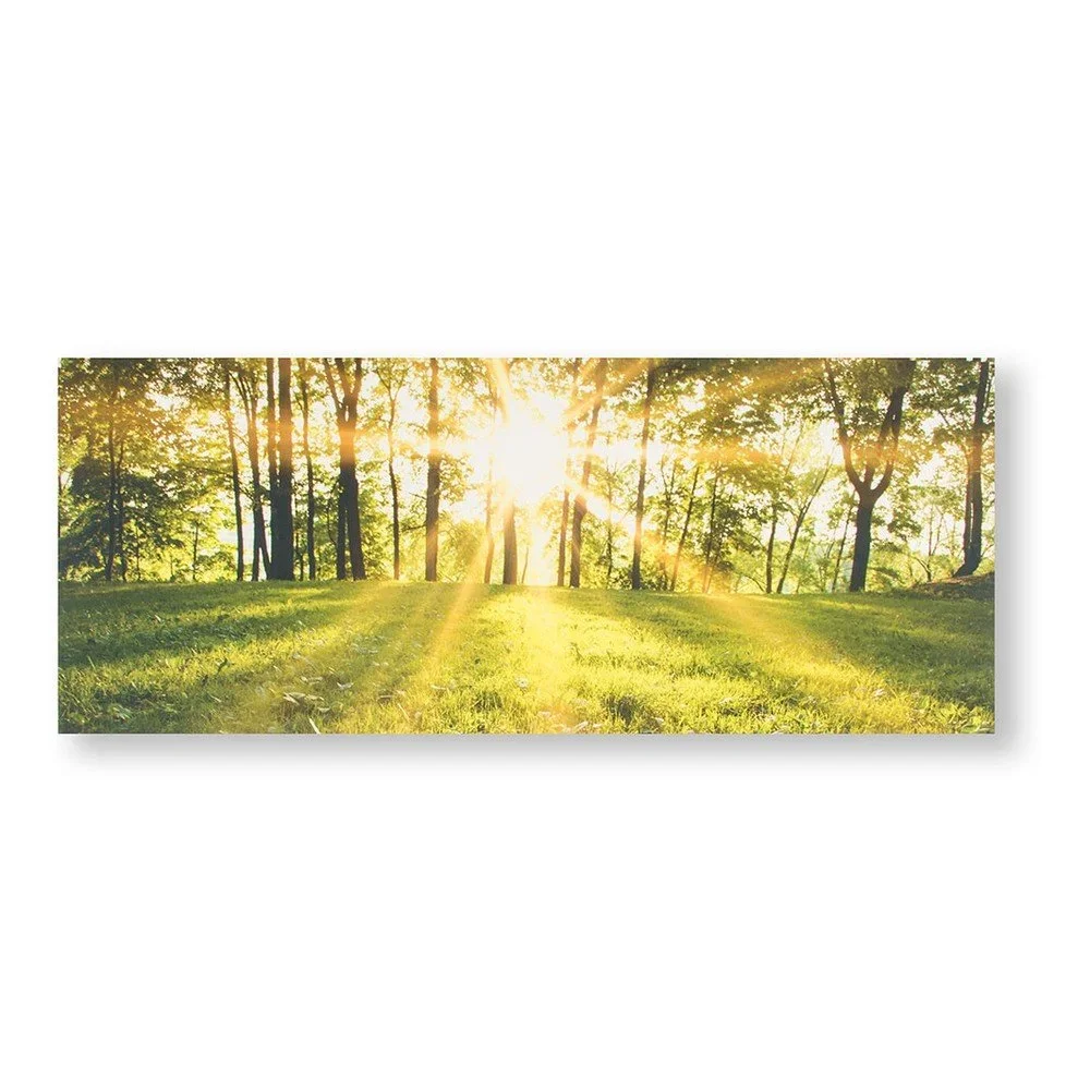 Obraz Graham & Brown Tranquil Forest Fields, 40 x 100 cm v:1147428