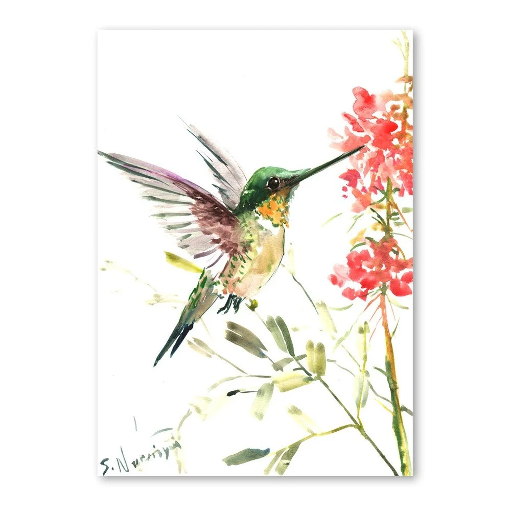 Autorský plakát Americanflat Hummingbird od Surena Nersisyana, 30 x 21 cm v:758470