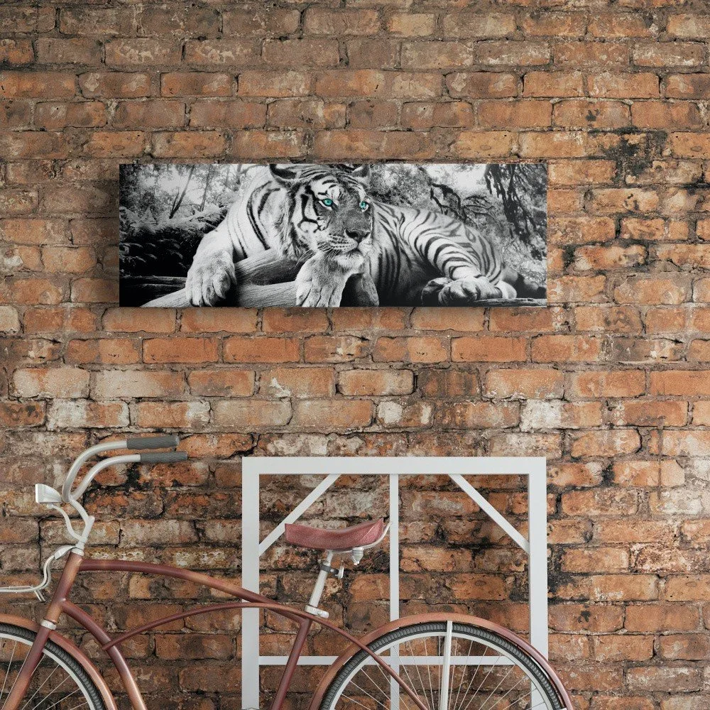 Obraz na plátně OrangeWallz Tiger, 30 x 90 cm v:1144332