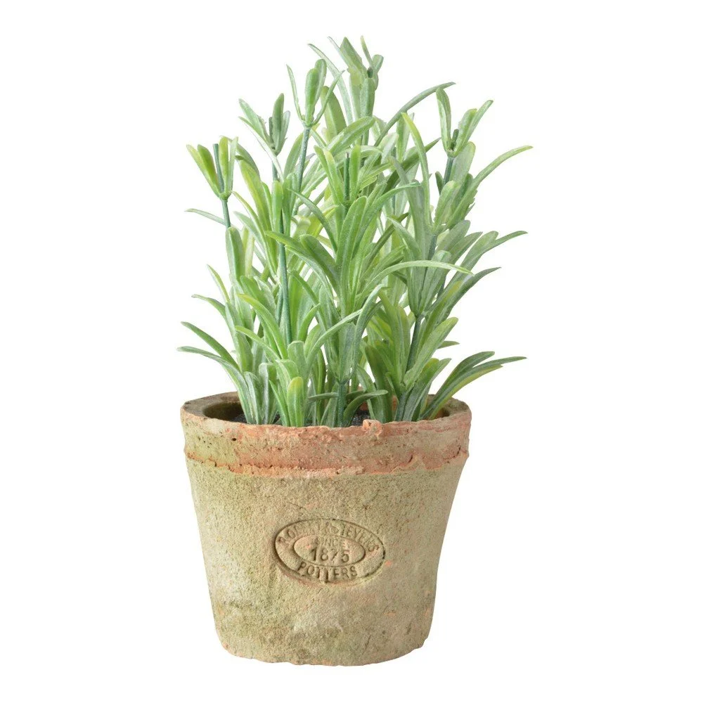 Umělá květina v terakotovém květináči Esschert Design Rozmarýn, výška 10,5 cm v:1217602