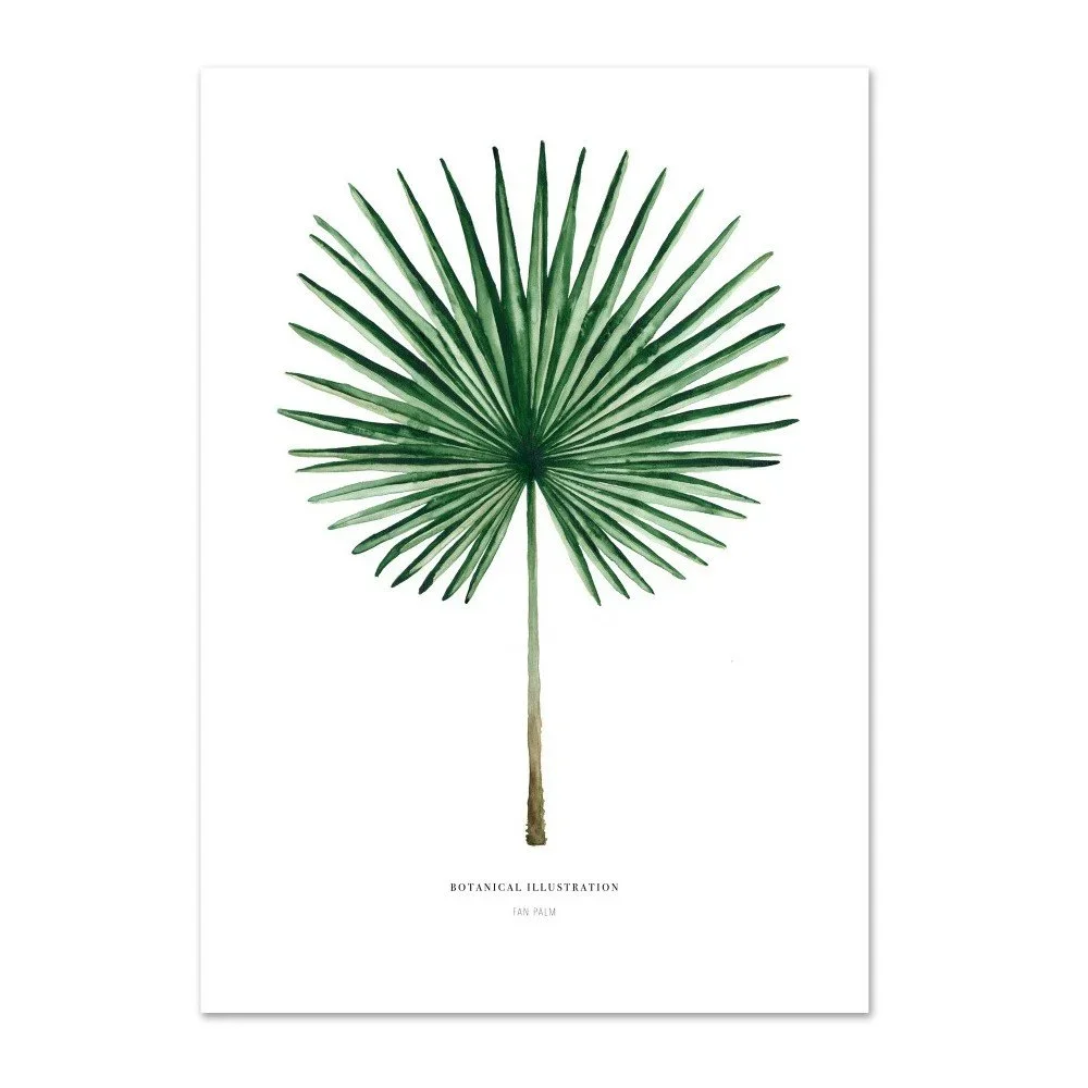 Plakát Leo La Douce Fan Palm, 21 x 29,7 cm v:915598