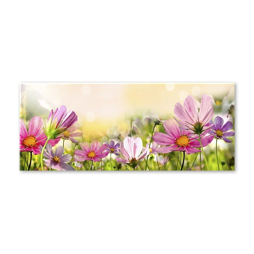 Obraz Styler Glas Flowers Astry, 50 x 125 cm v:1175878