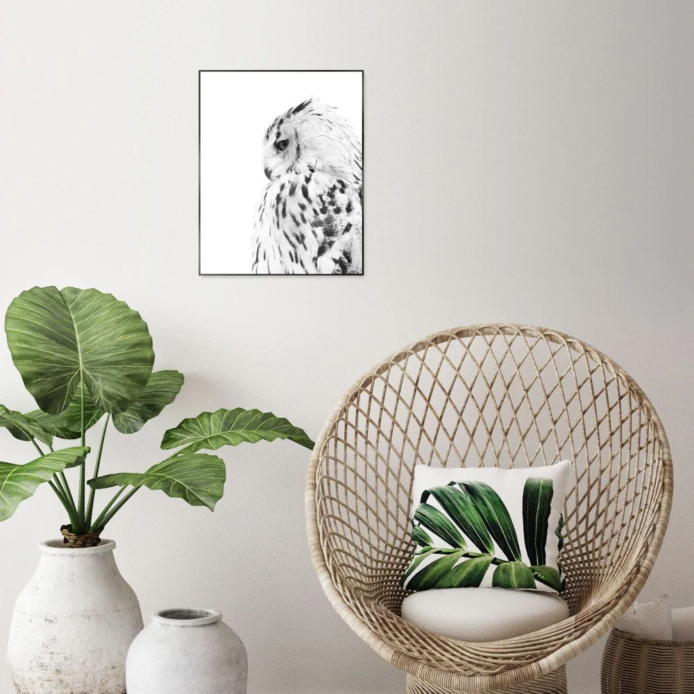 Obraz v černém rámu OrangeWallz Snow Owl, 40 x 50 cm v:1144188
