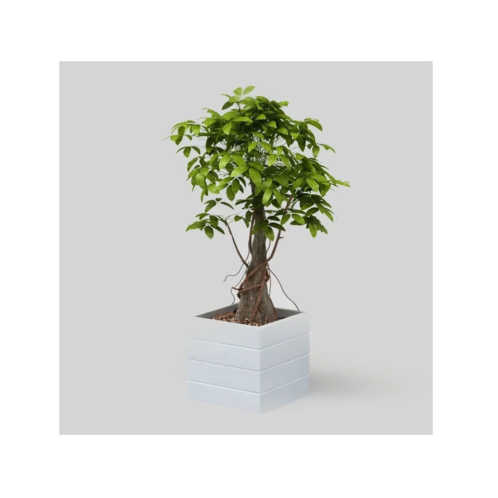 Bílý květináč Only Wood Flower Box v:793318