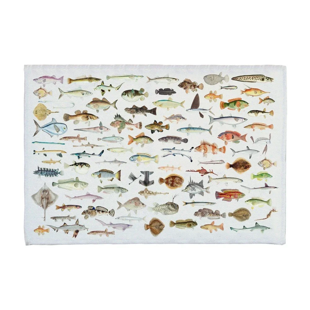 Koupelnová předložka 40x60 cm Fish in the Ocean – Really Nice Things v:1411395