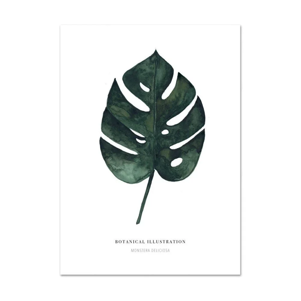 Plakát Leo La Douce Monstera Deliciosa, 21 x 29,7 cm v:828554