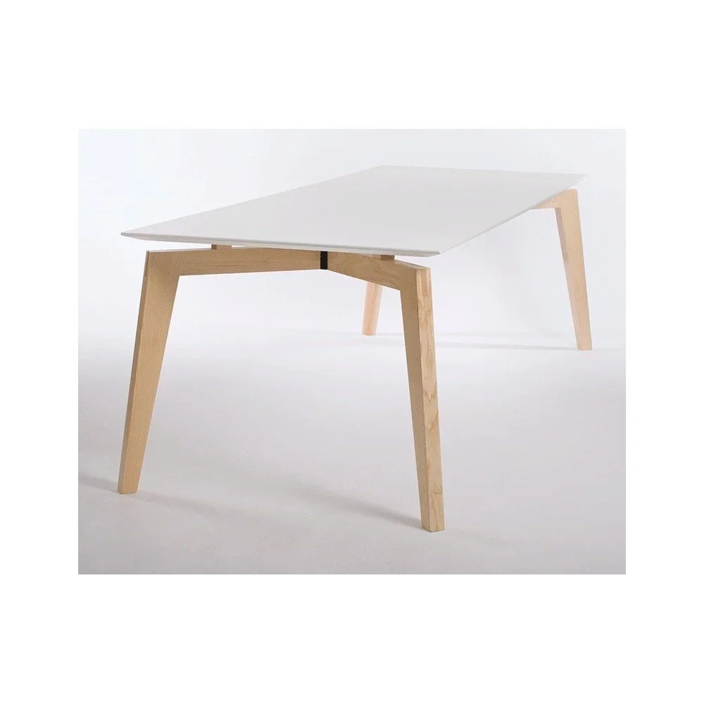 Jídelní stůl Ellenberger design Private Space, 240 x 90 cm v:750966