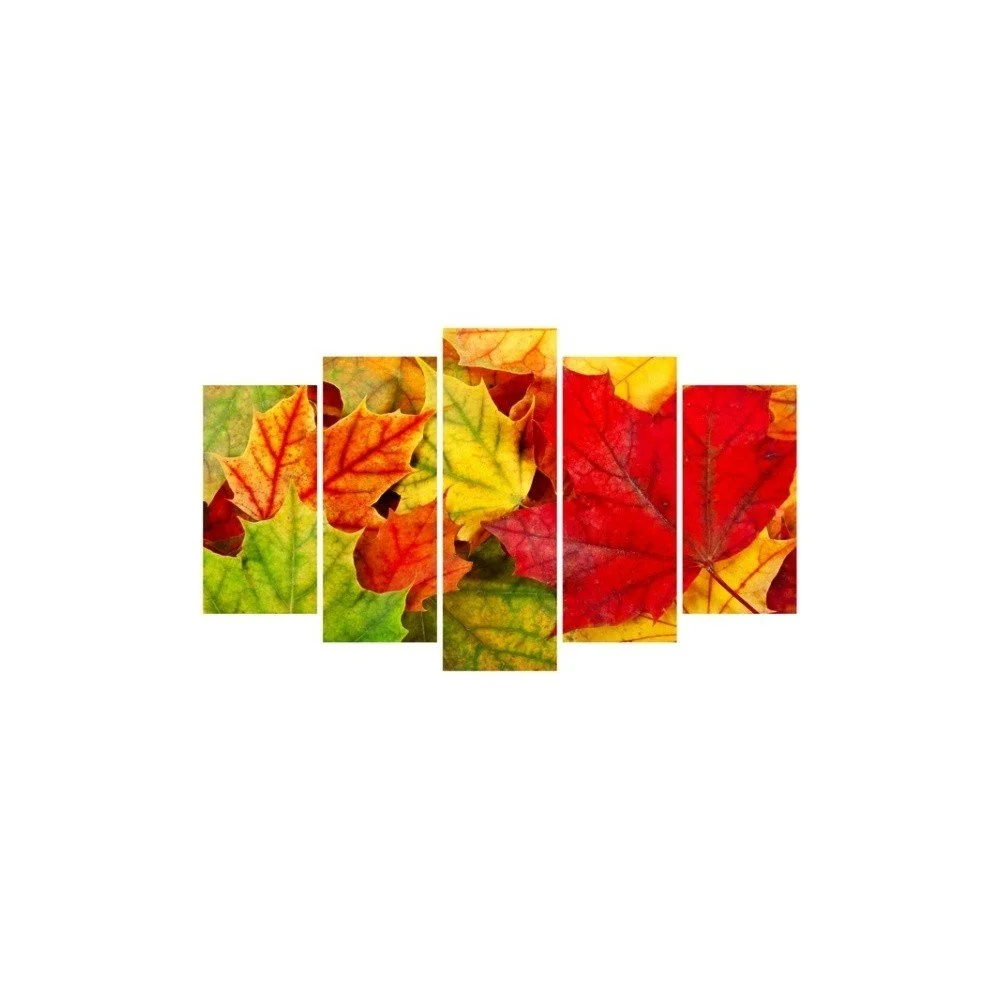 Vícedílný obraz Insigne Tentie, 102 x 60 cm v:1227916