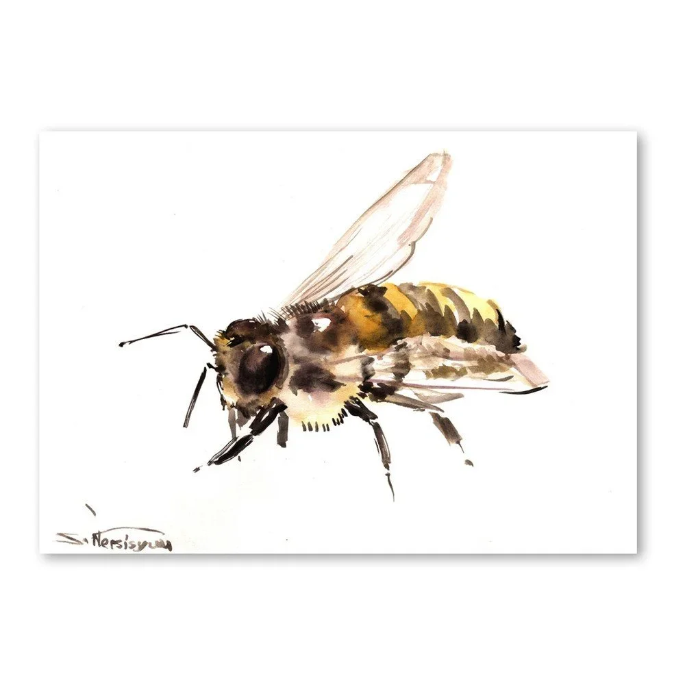 Autorský plakát Bee od Surena Nersisyana, 60 x 42 cm v:758454