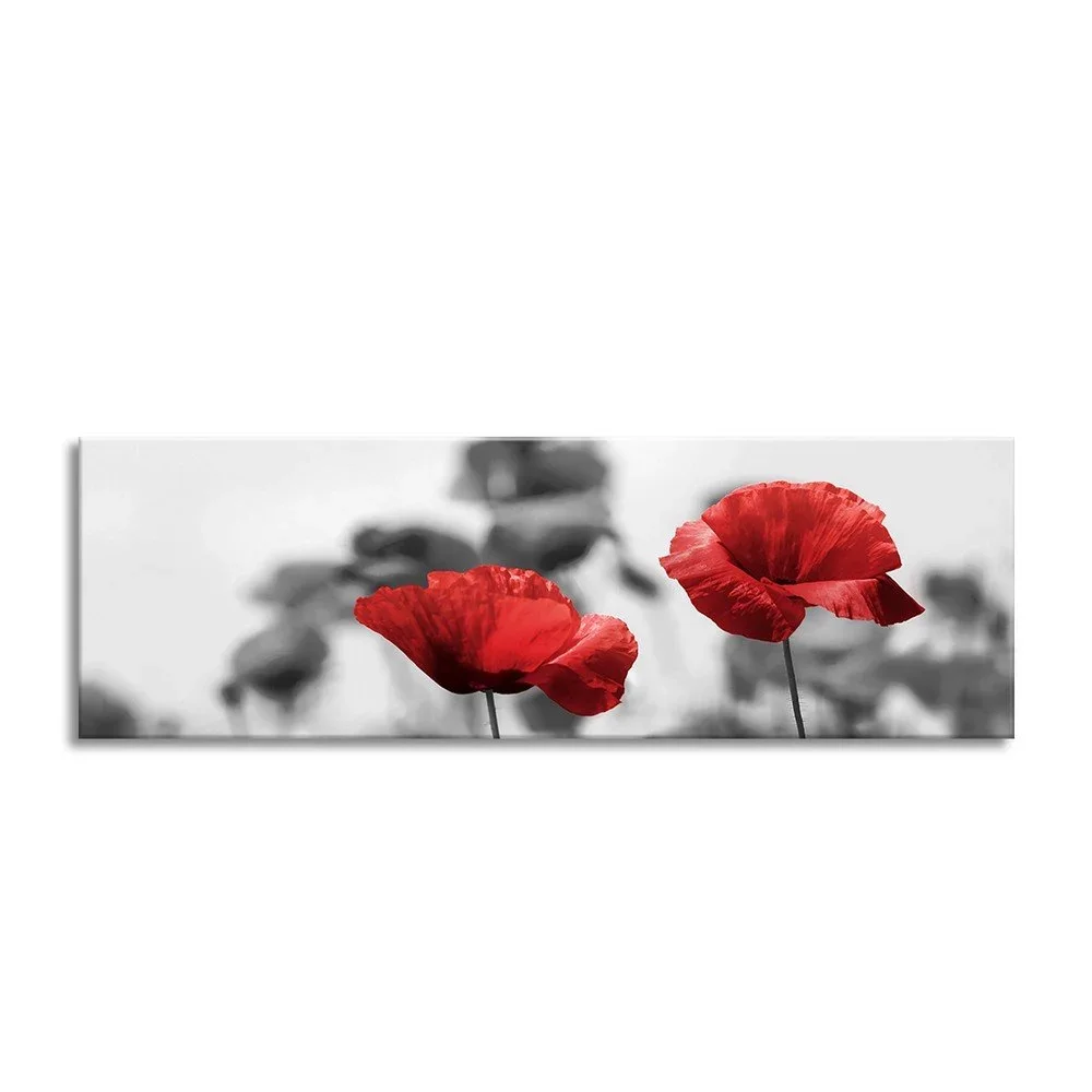 Obraz Styler Glas Red Poppy, 50 x 125 cm v:1175656