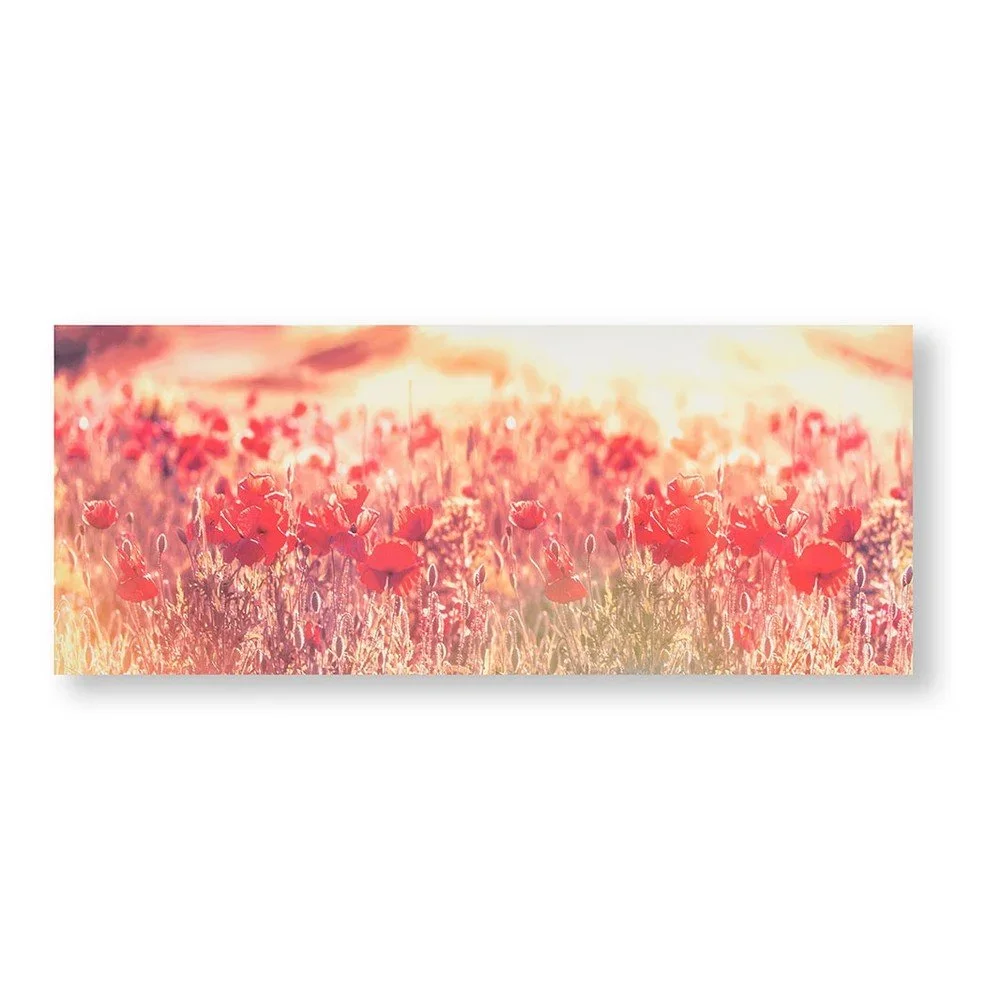 Obraz Graham & Brown Peaceful Poppy Fields, 100 x 40 cm v:1147426