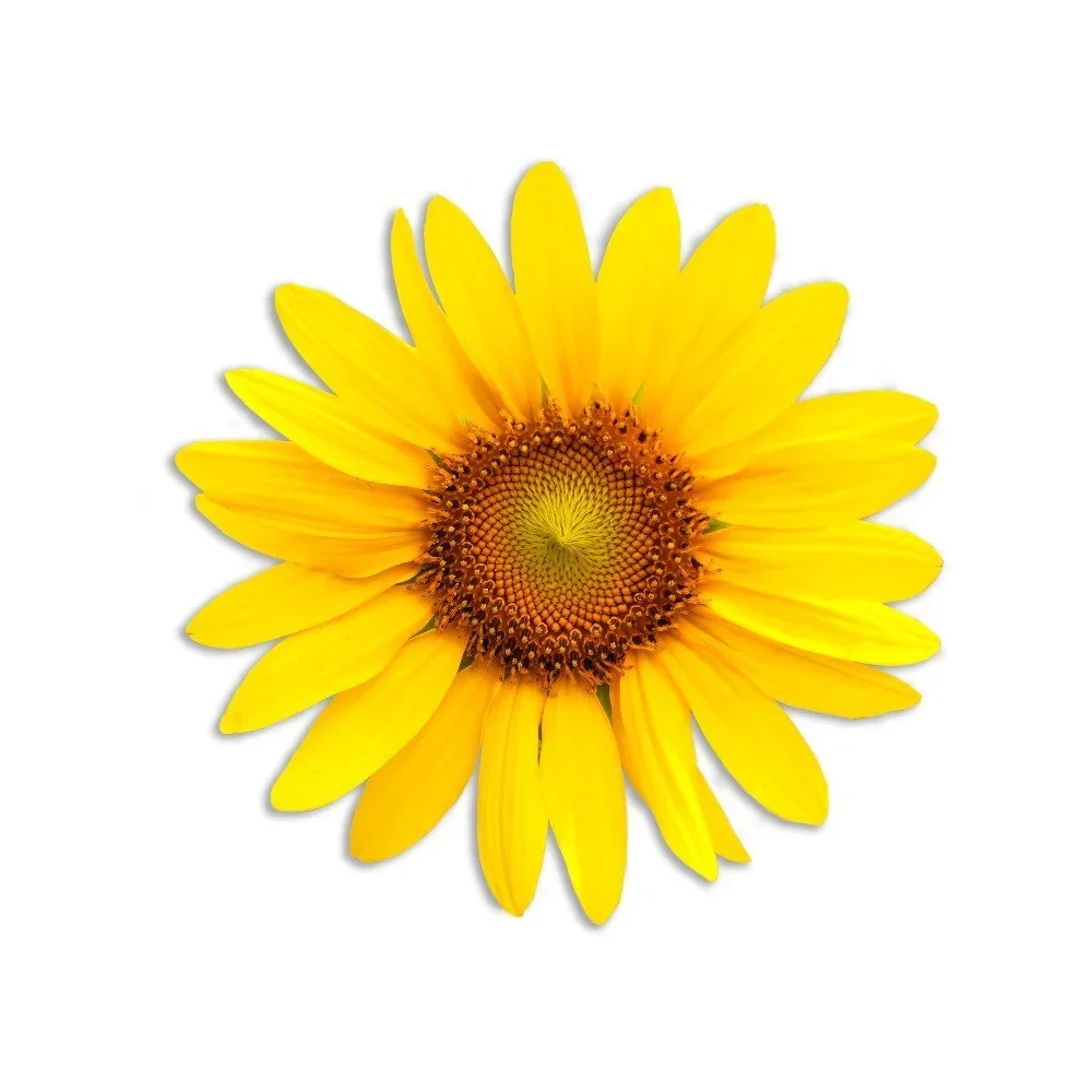 Dekorativní prostírání z jutových vláken Madre Selva Sunflower v:1274296