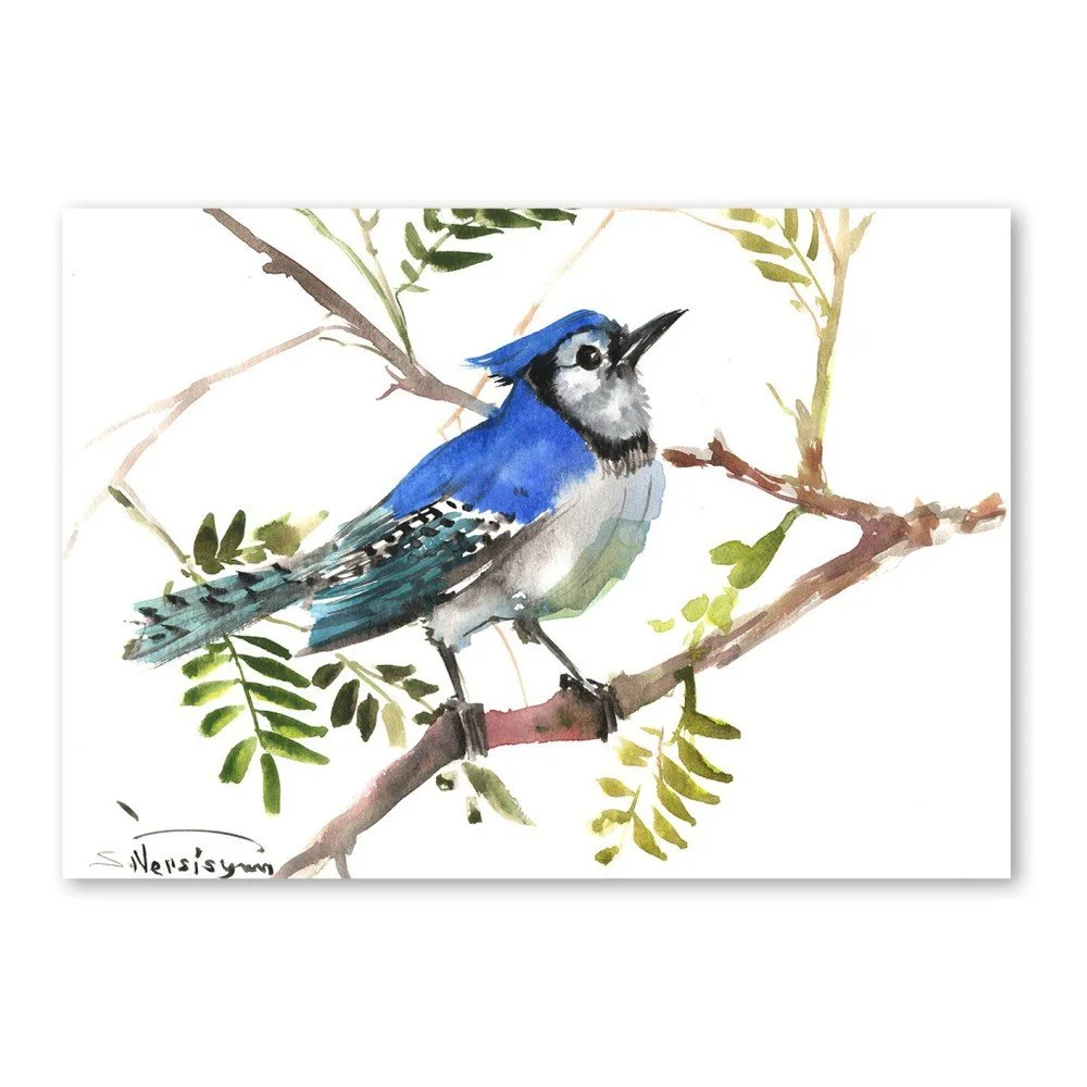 Autorský plakát Blue Jay Wide od Surena Nersisyana, 42 x 30 cm v:758444