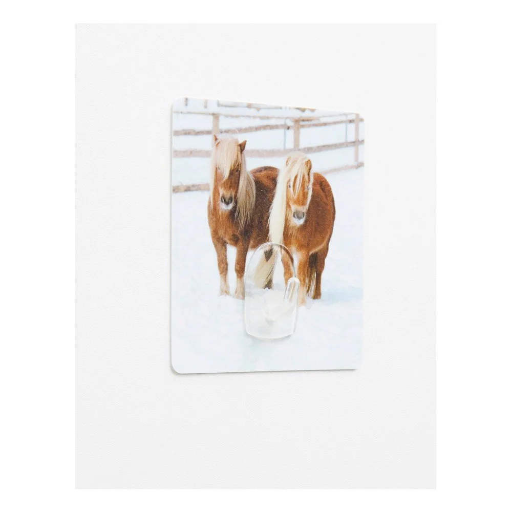 Nástěnný háček Compactor Magic Ponies v:1034832