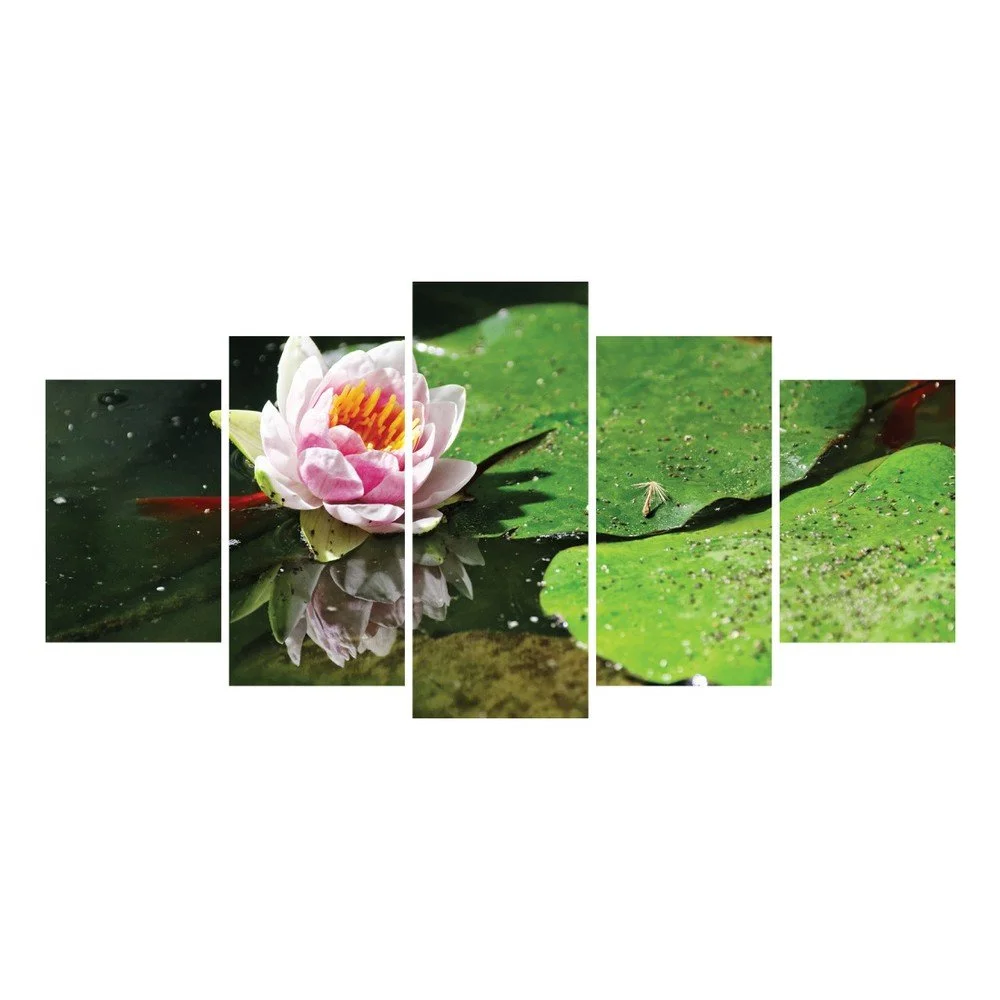 Vícedílný obraz La Maison Des Couleurs Waterlily v:809370