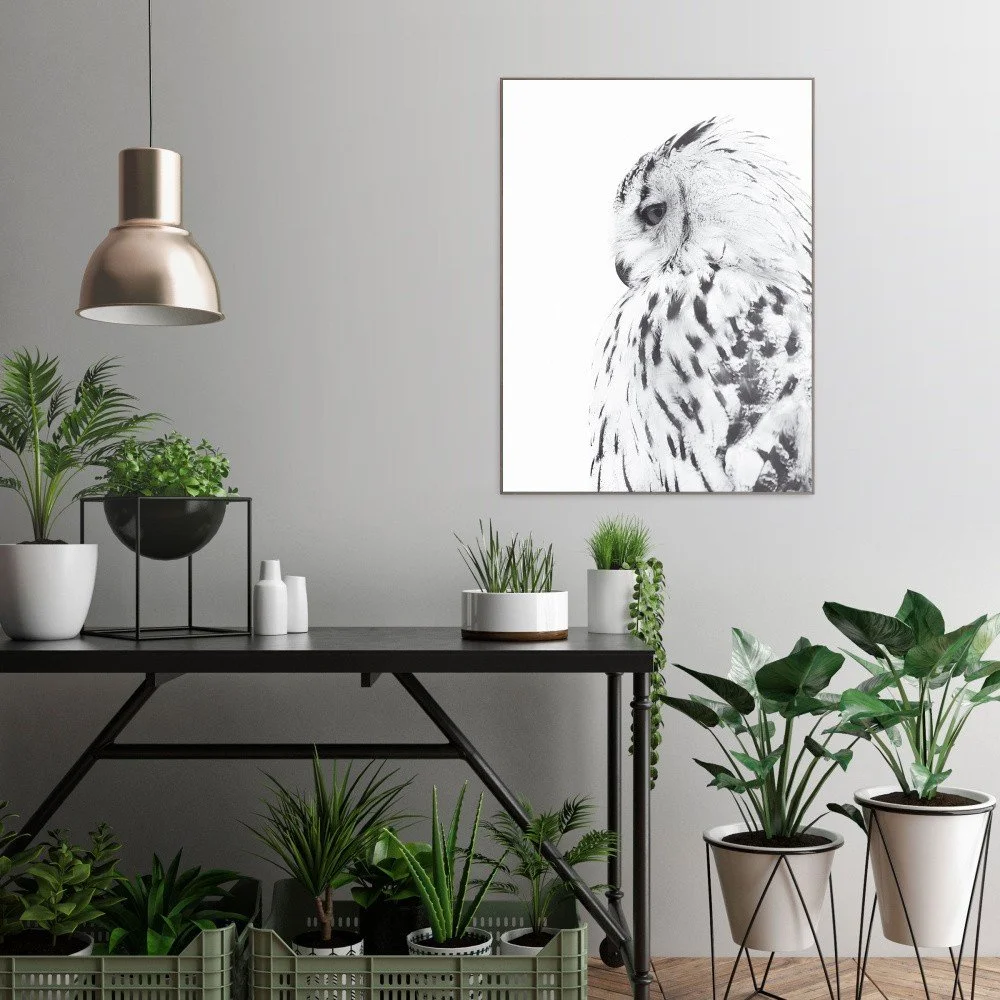 Obraz v dřevěném rámu OrangeWallz White Owl, 60 x 80 cm v:1144286