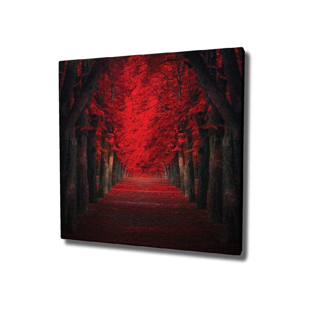 Nástěnný obraz na plátně Red Trees, 45 x 45 cm v:1285876