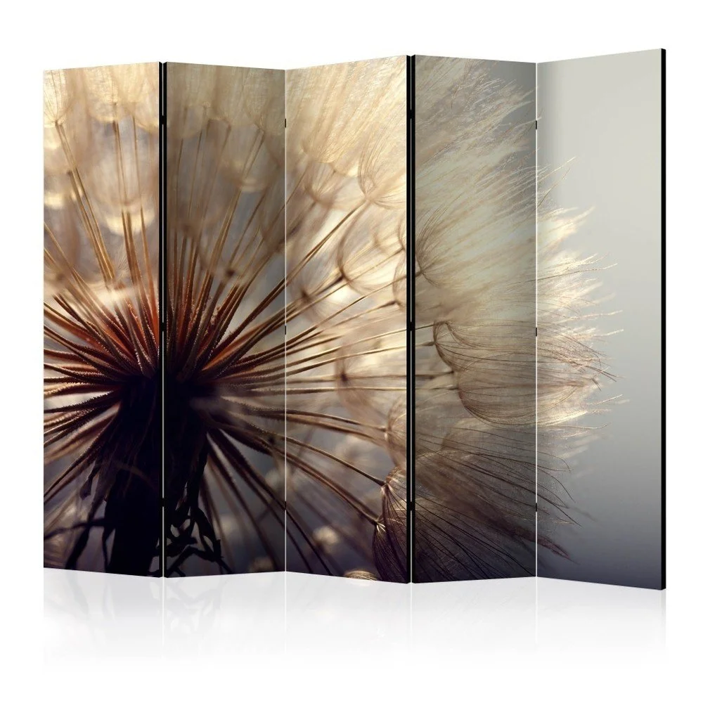 Paraván Artgeist Dandelion, 225 x 172 cm v:1050546