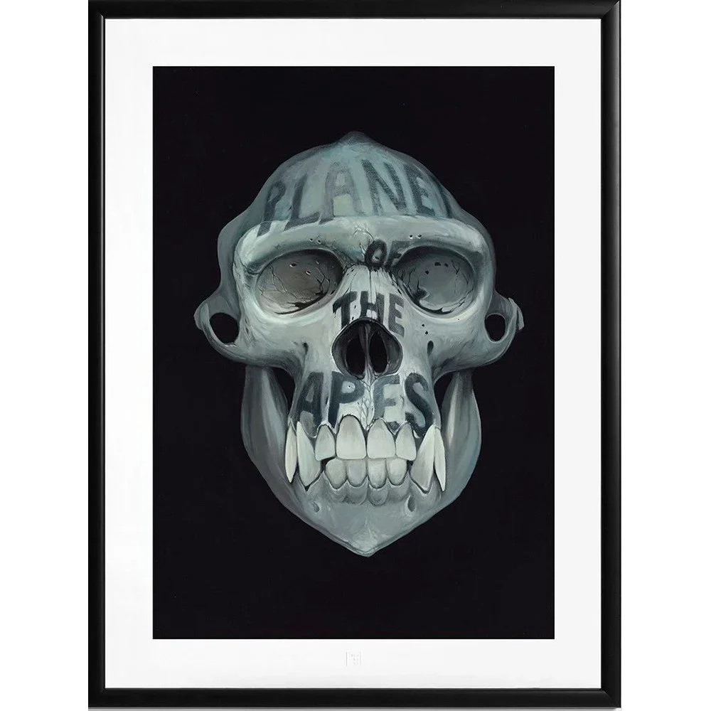 Obraz 54x72 cm Adam Jílek v:1716756