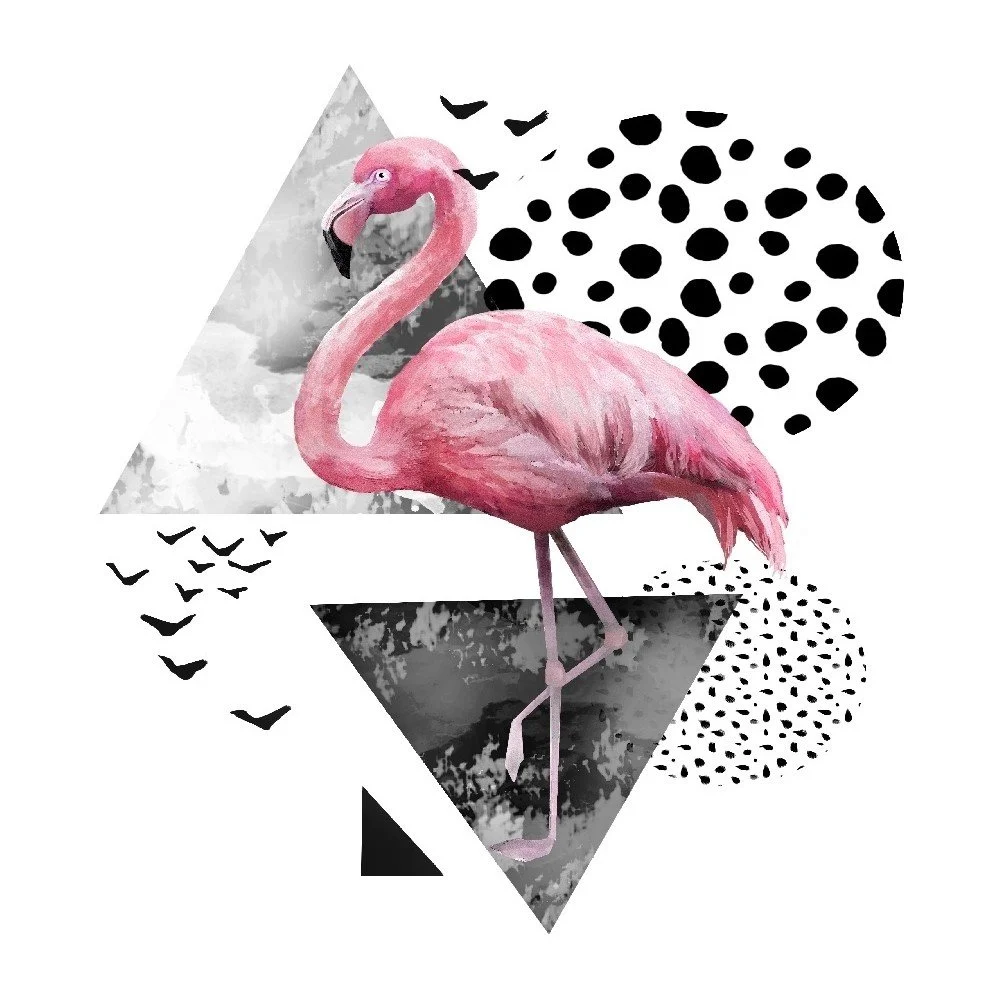 Skleněný obraz 3D Art Graphico Flamingo, 50 x 50 cm v:1196620