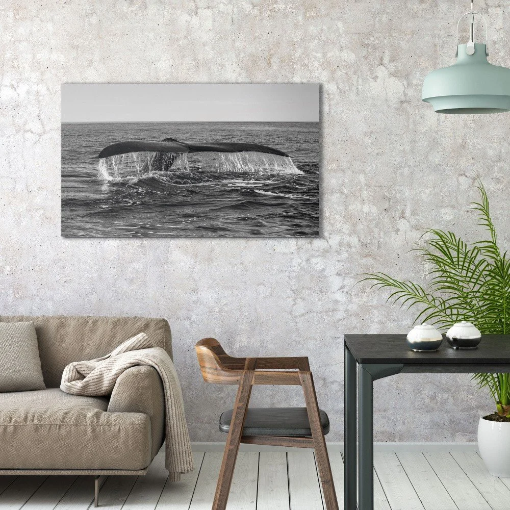 Obraz na plátně OrangeWallz Whale, 70 x 118 cm v:1144478