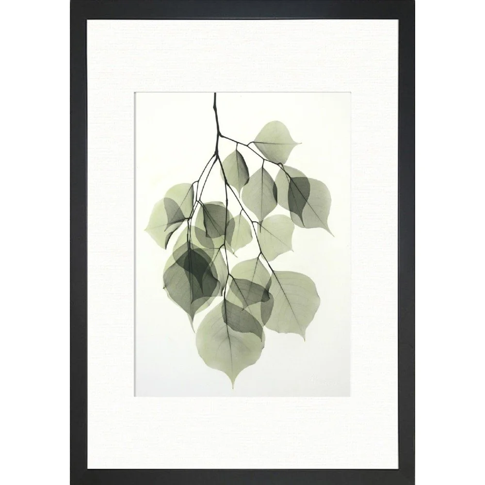 Plakát 24x29 cm Tender Leaves – Tablo Center v:1240980